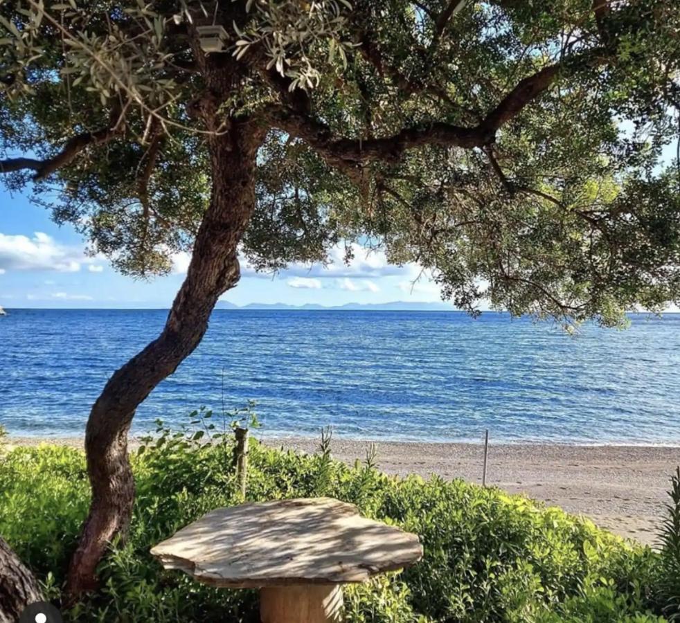 Dadya Villa 1 - Villa With Private Pool - 750M Distance To The Beach ダッチャ エクステリア 写真